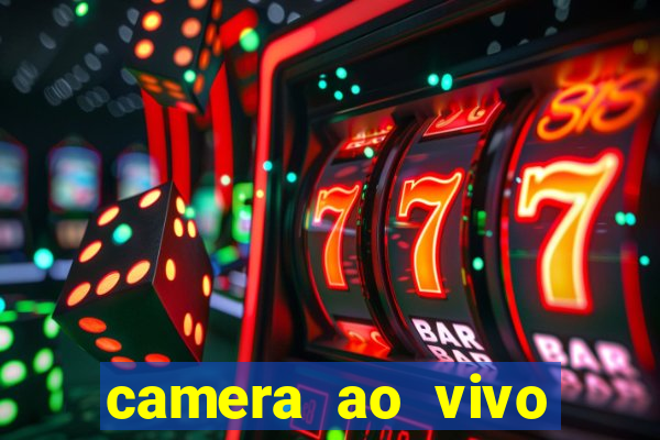 camera ao vivo terminal vila nova cachoeirinha